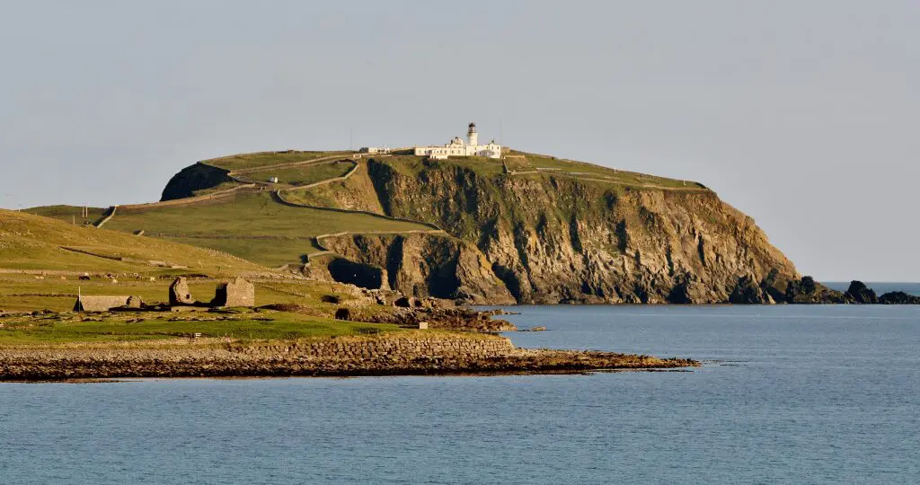 shetland